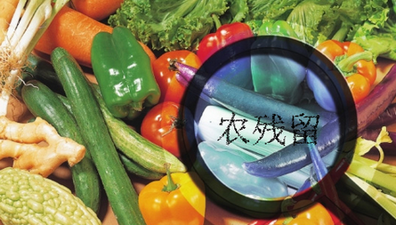 農(nóng)藥殘留檢測儀結(jié)果無法上傳是什么原因？農(nóng)藥殘留檢測儀的故障排除方法